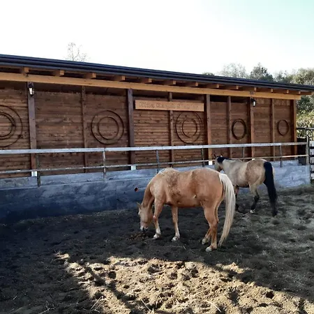 Etna Ranch