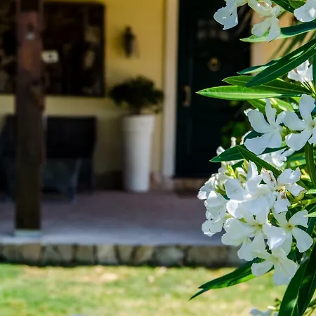 Etna Ranch Villa