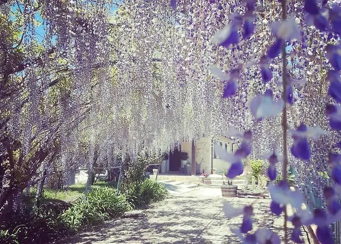 Etna Ranch Piedimonte Etneo
