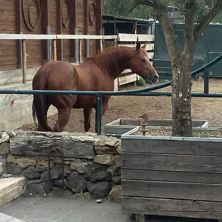 Etna Ranch * פיידימונטה אטנאו